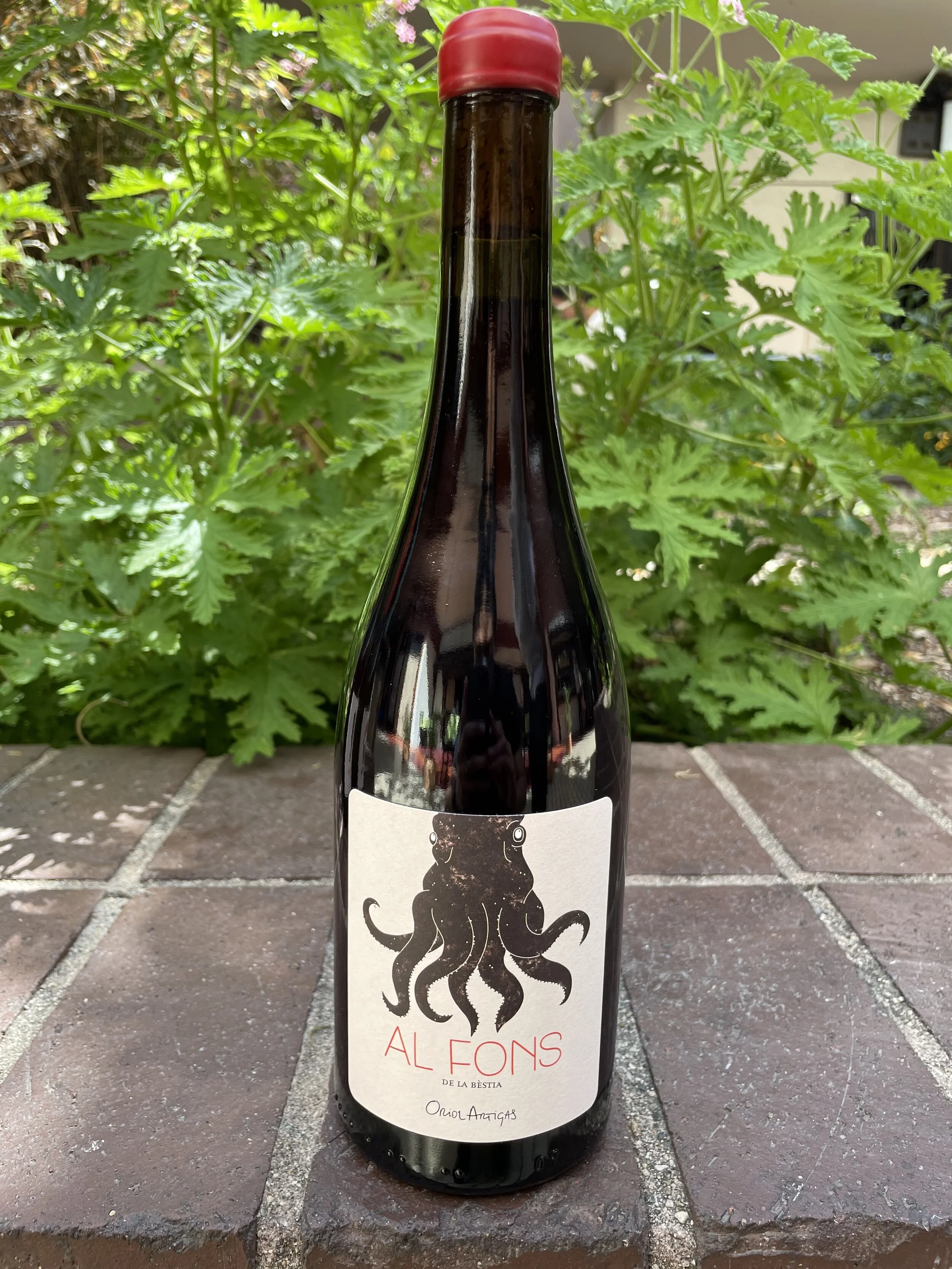 Oriol Artigas Al Fons Red.jpeg