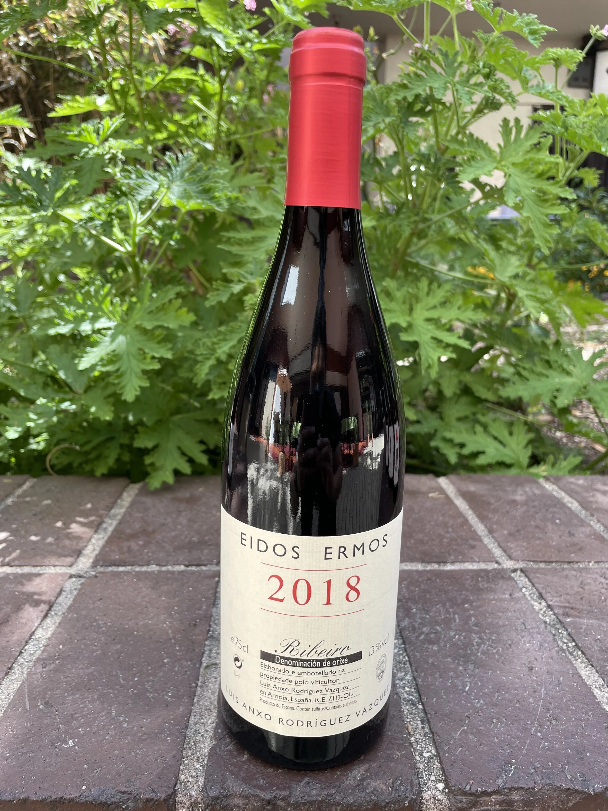 Luis Rodriguez Eldos Red.jpeg