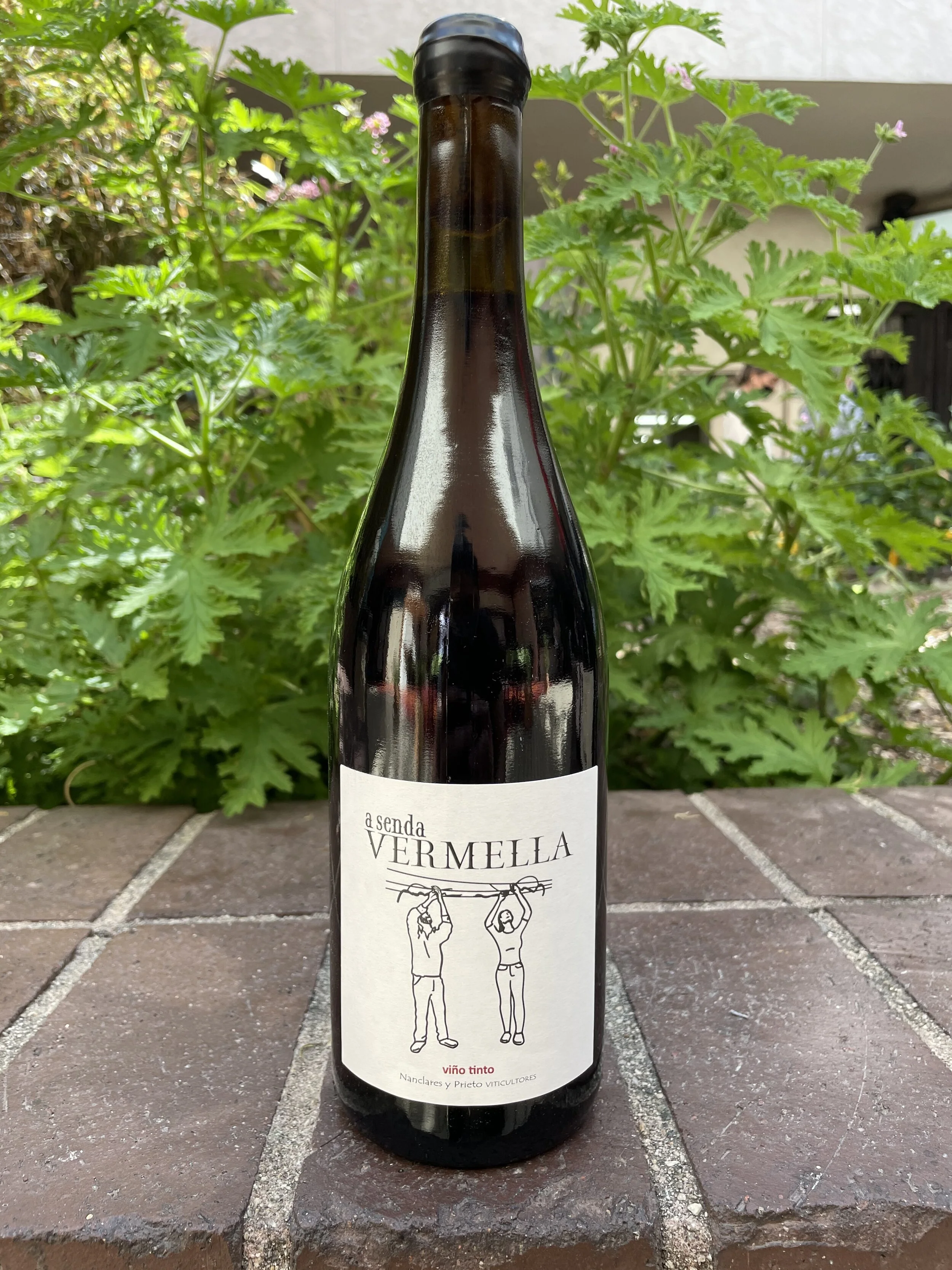 Nancares Prieto A Senda Red.jpeg