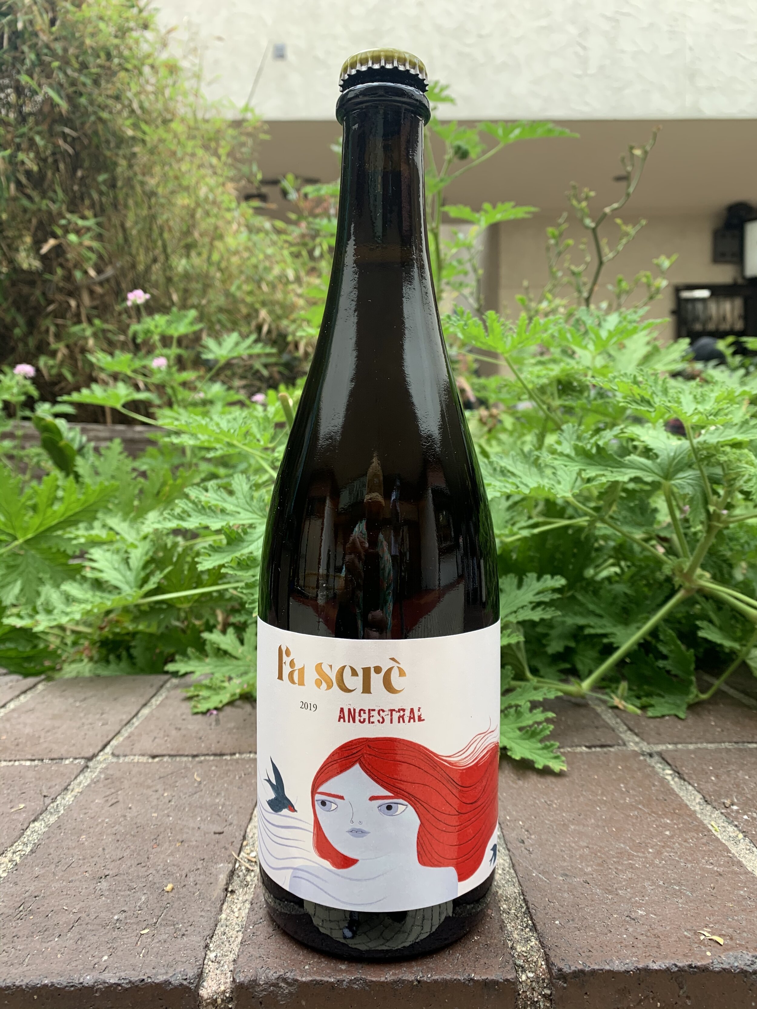 Jordi Llorens Fa Sere Ancestral.JPG