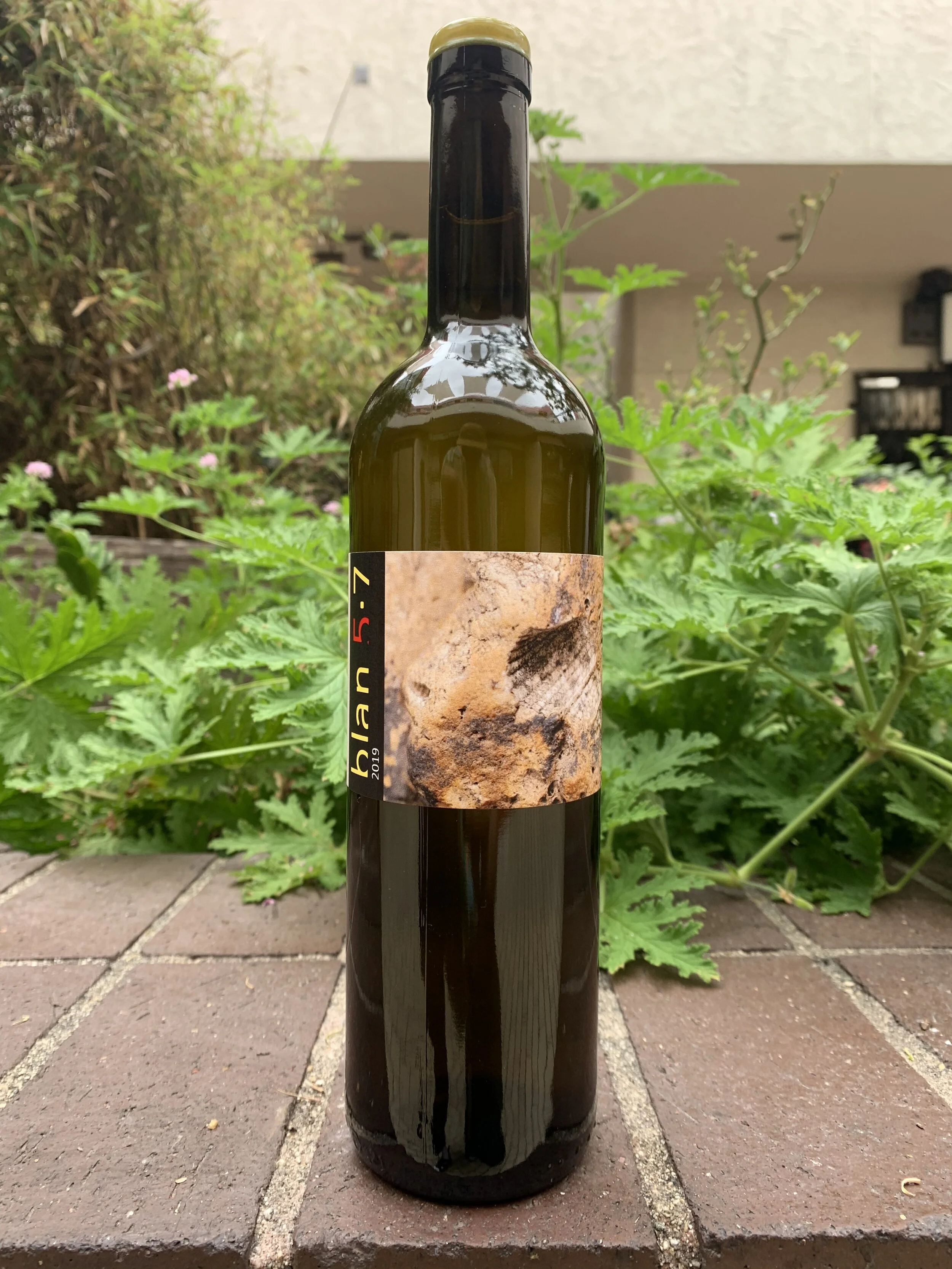 Jordi Llorens Blan 5.7.JPG