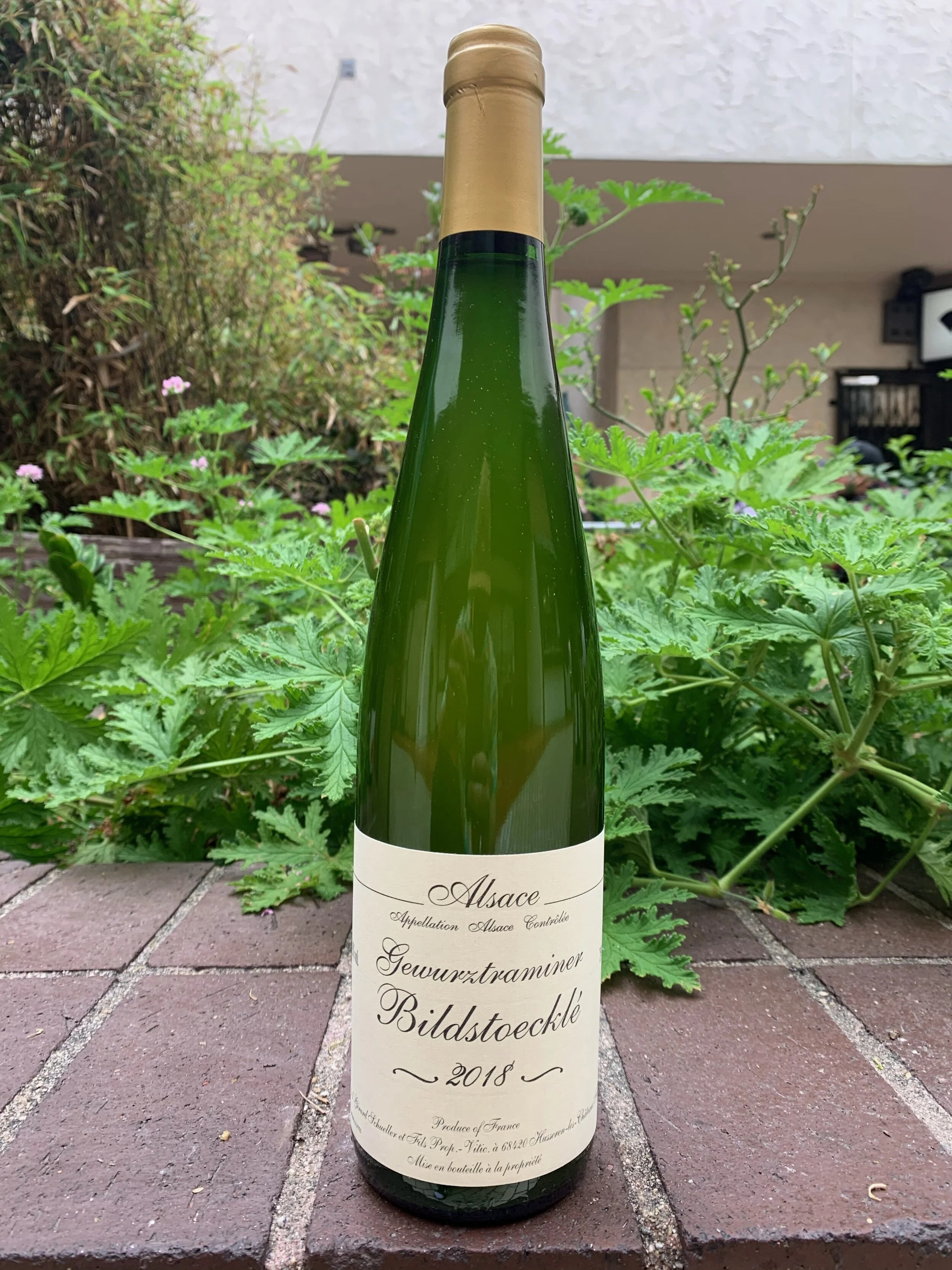 Schueller Bildestock Cru Gewurtz.JPG