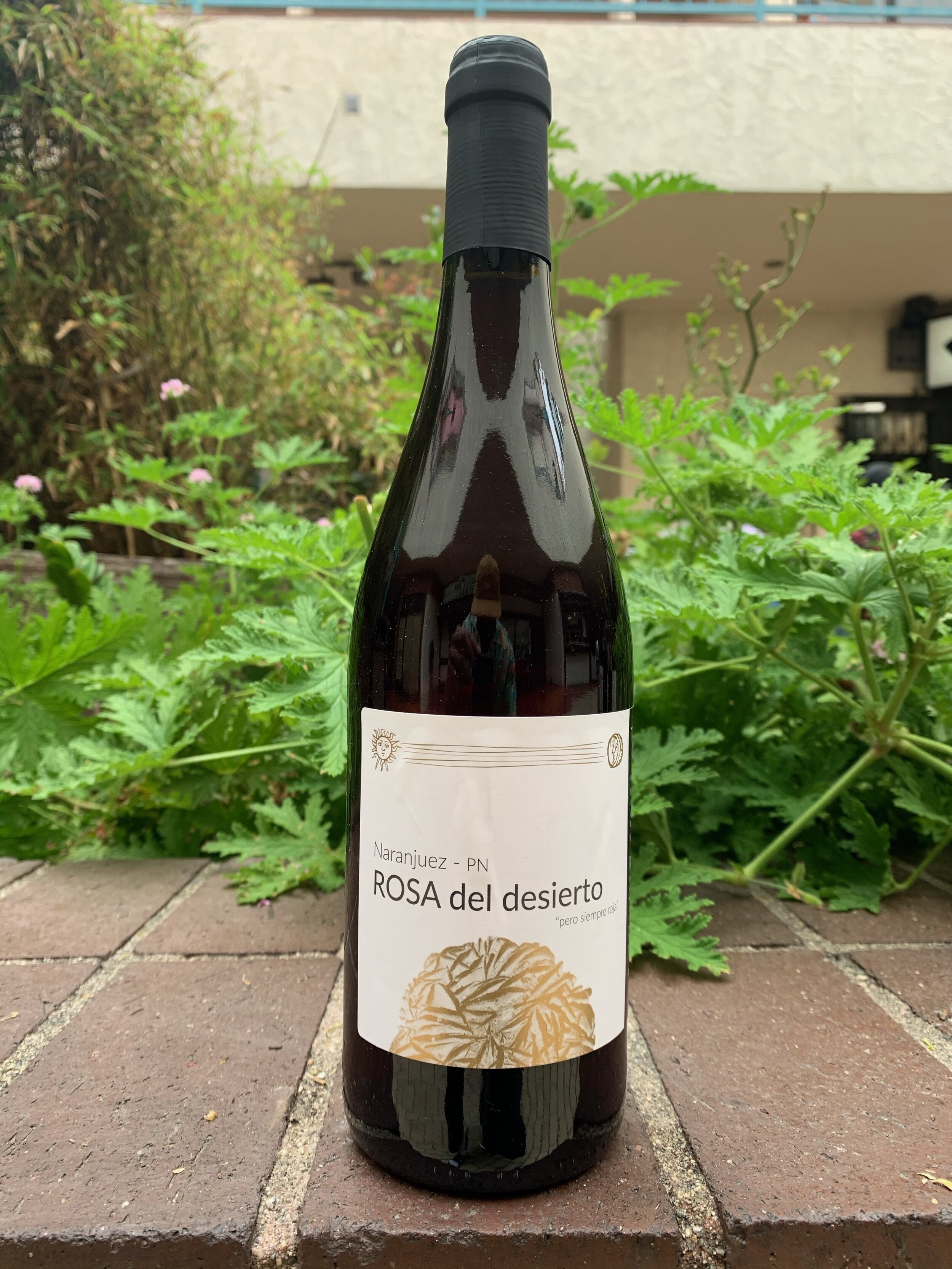 Naranuez Rosa del Desierto.JPG