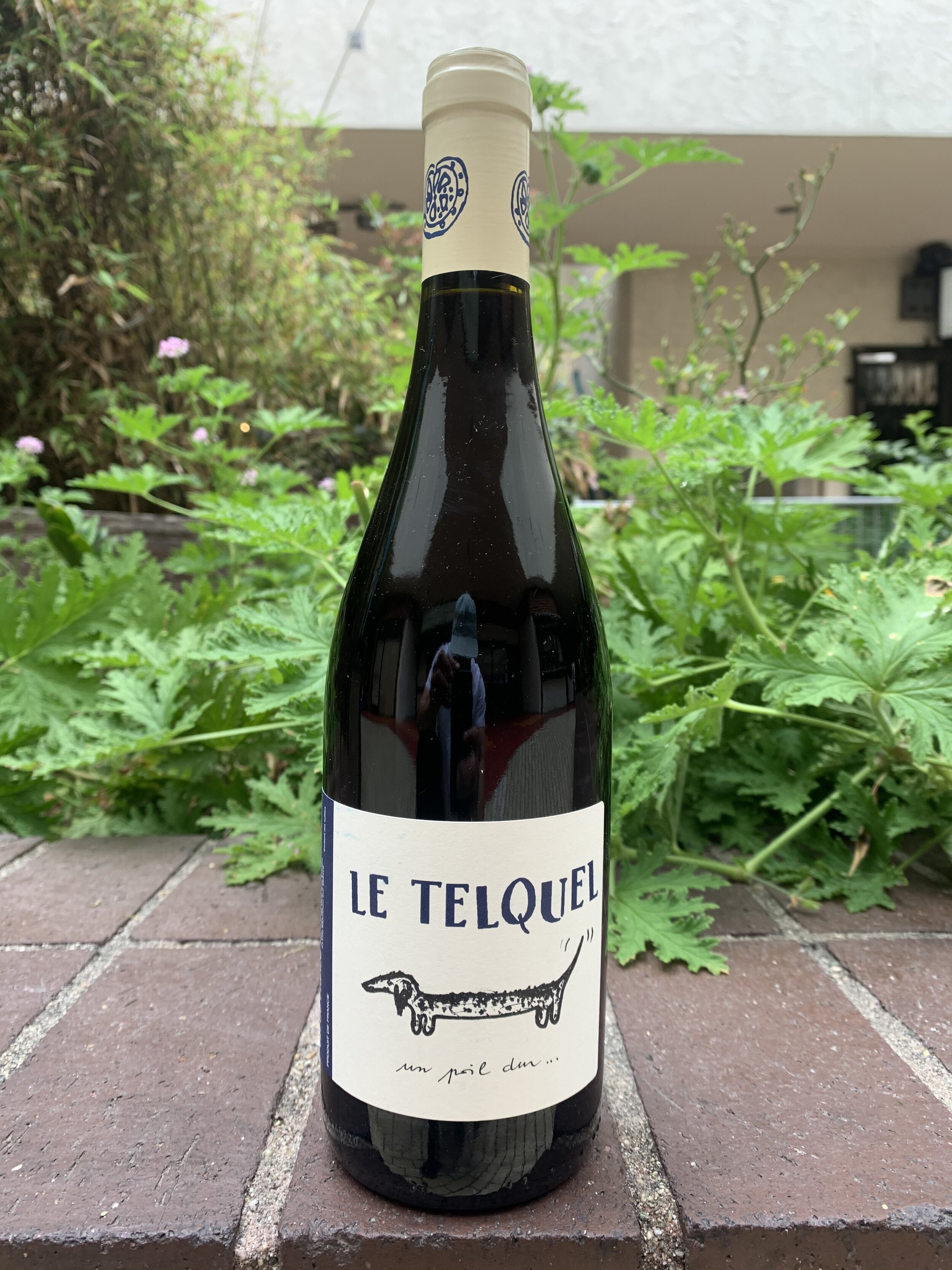 Le Tequel Bonhomm Gamay.JPG