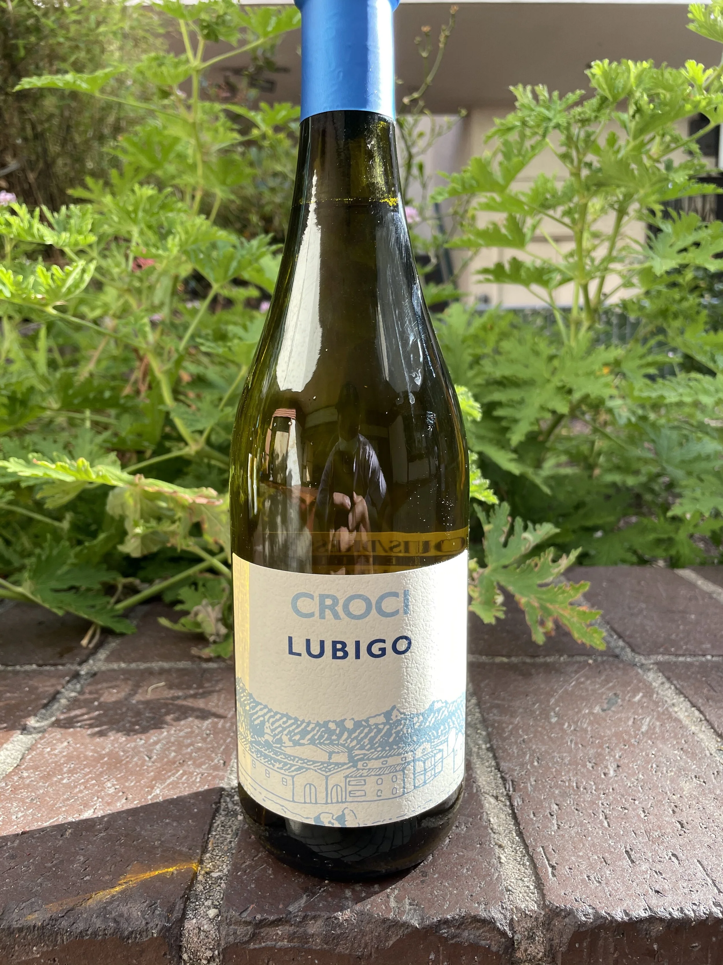 Croci Lubigo Bubbles.jpg
