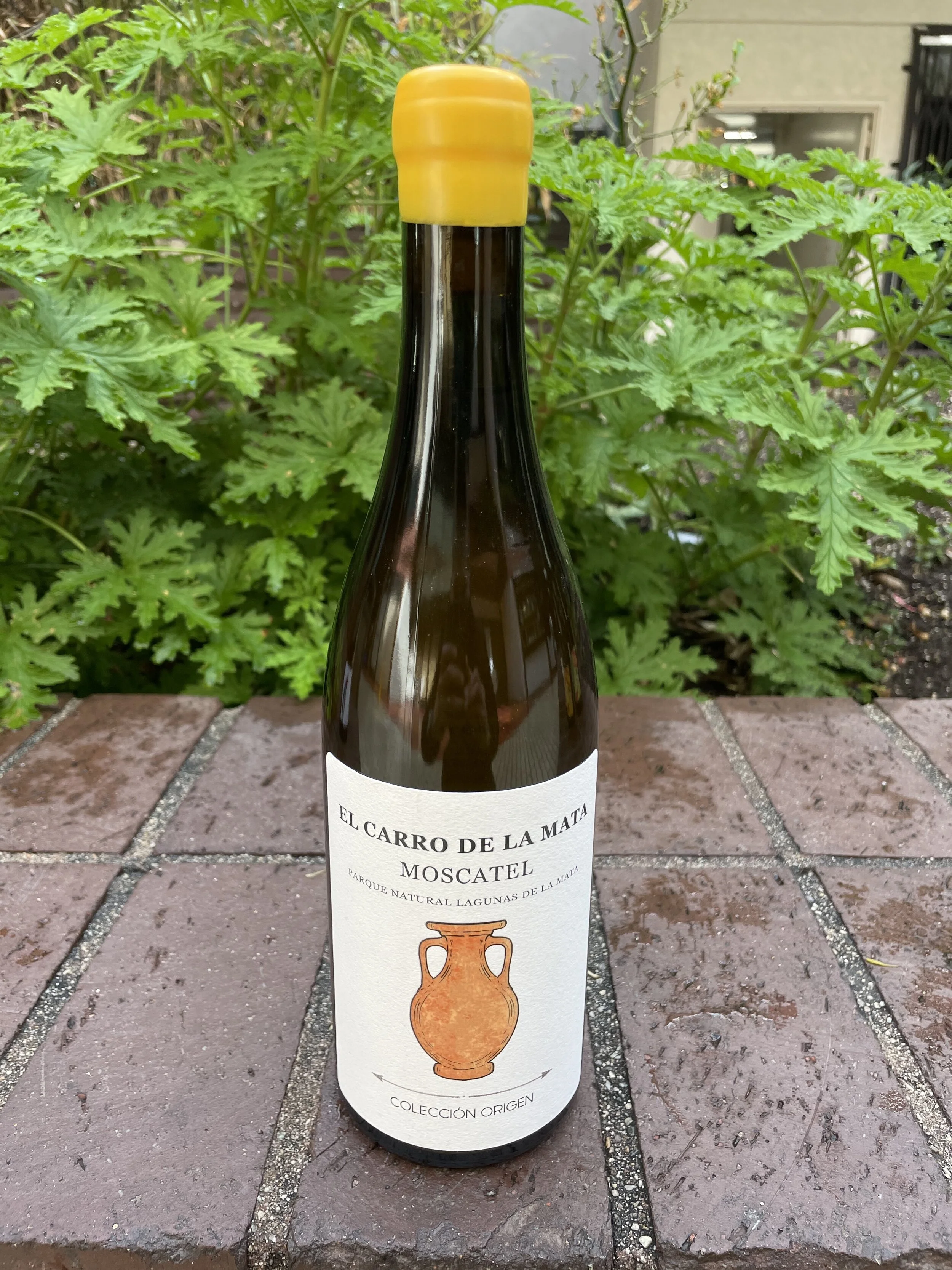 Casa de Balaguer Moscatel.jpeg