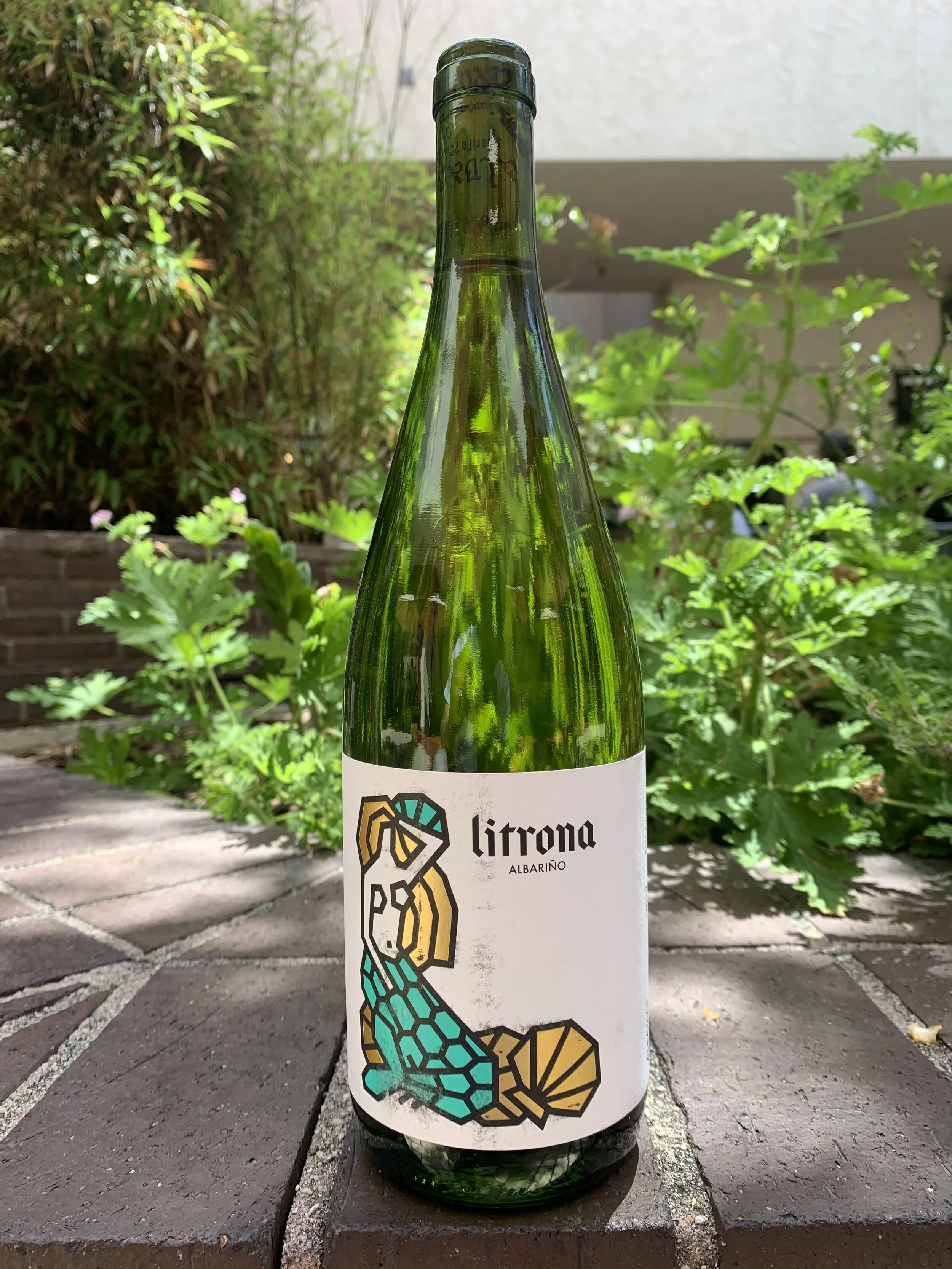 Albamar Litrona.jpeg