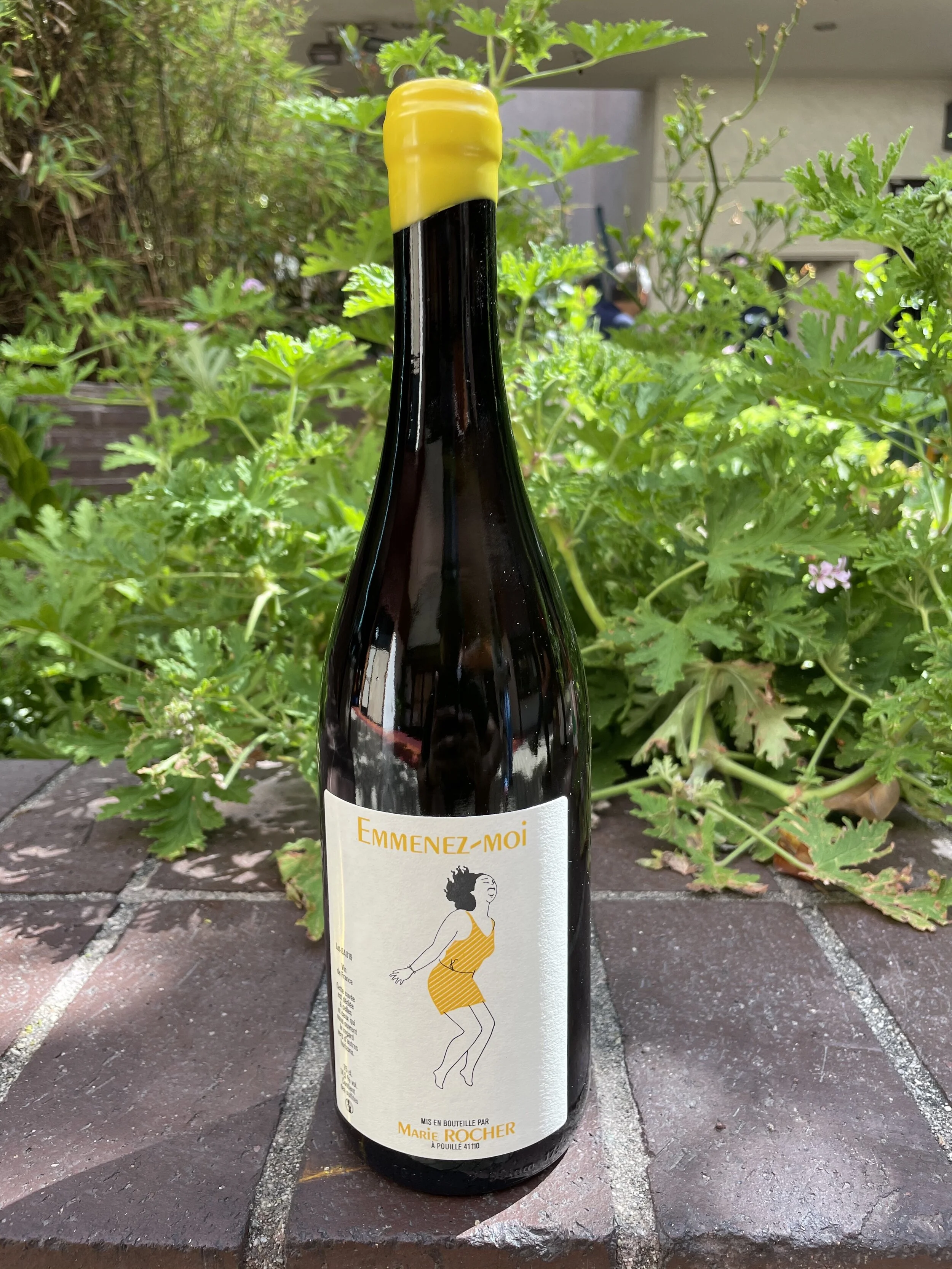 Marie Rocher Sauv Blanc.jpg