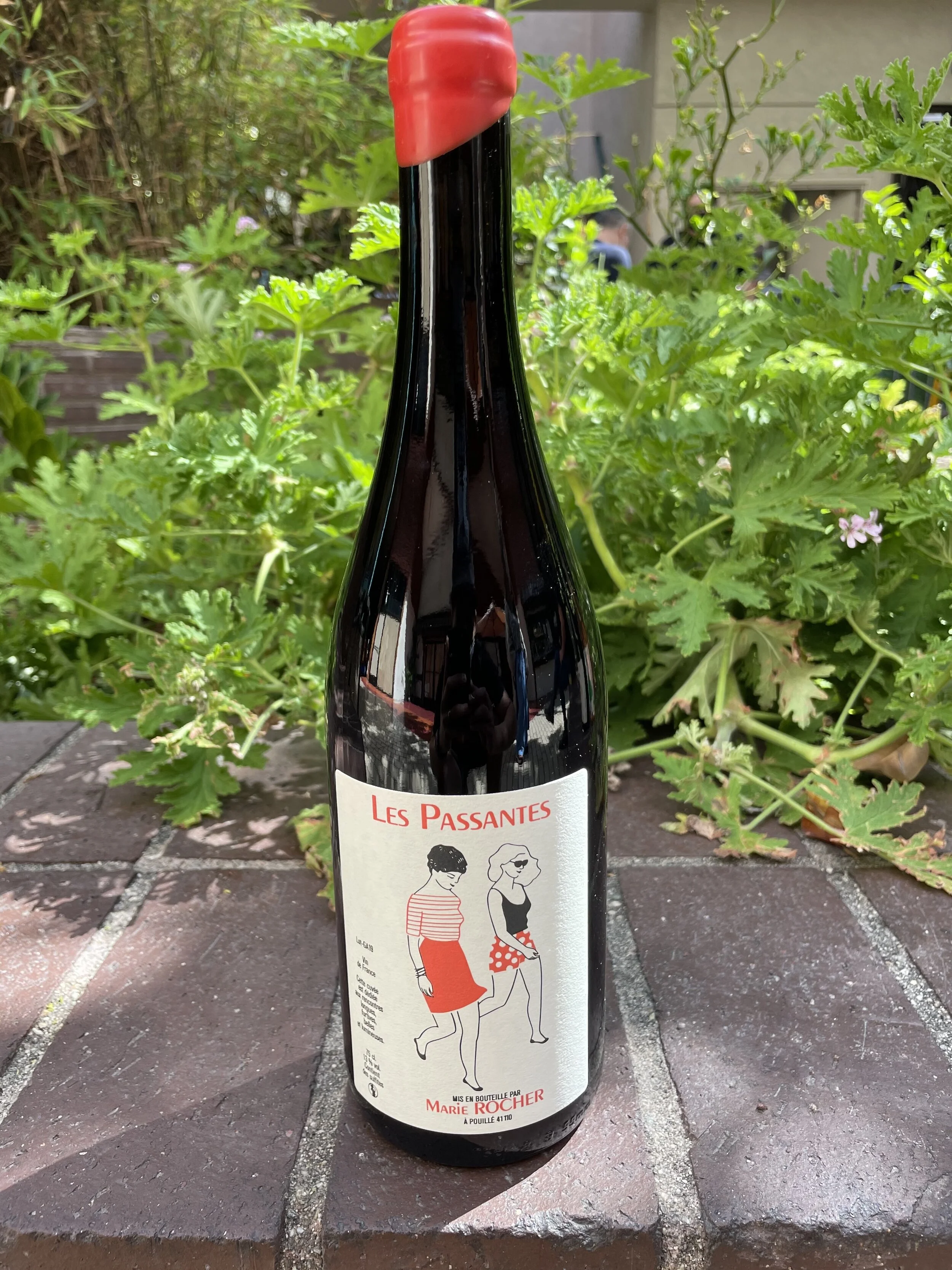 Marie Rocher Gamay Still.jpg