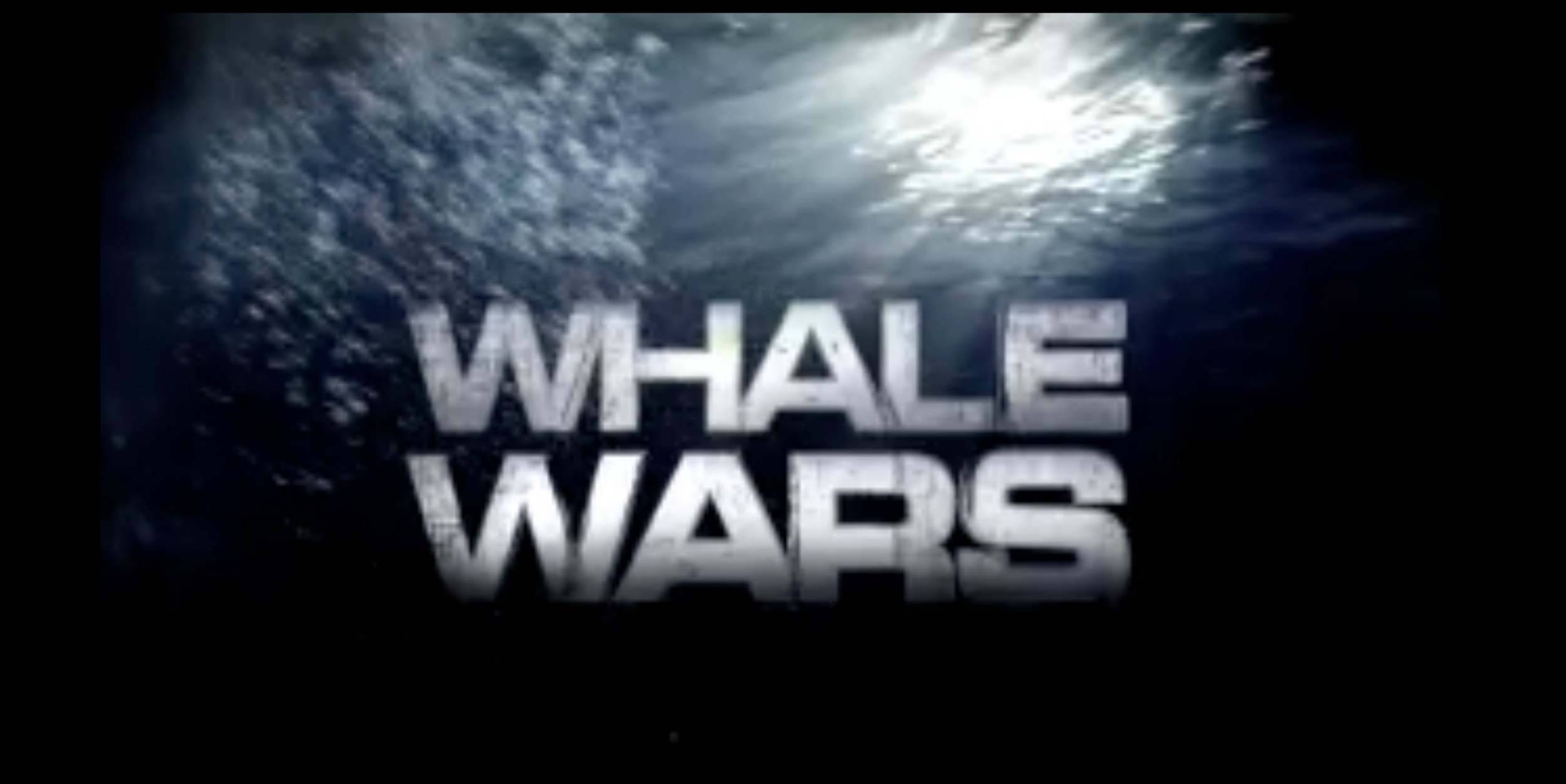 Whale Wars POS rectangle.png