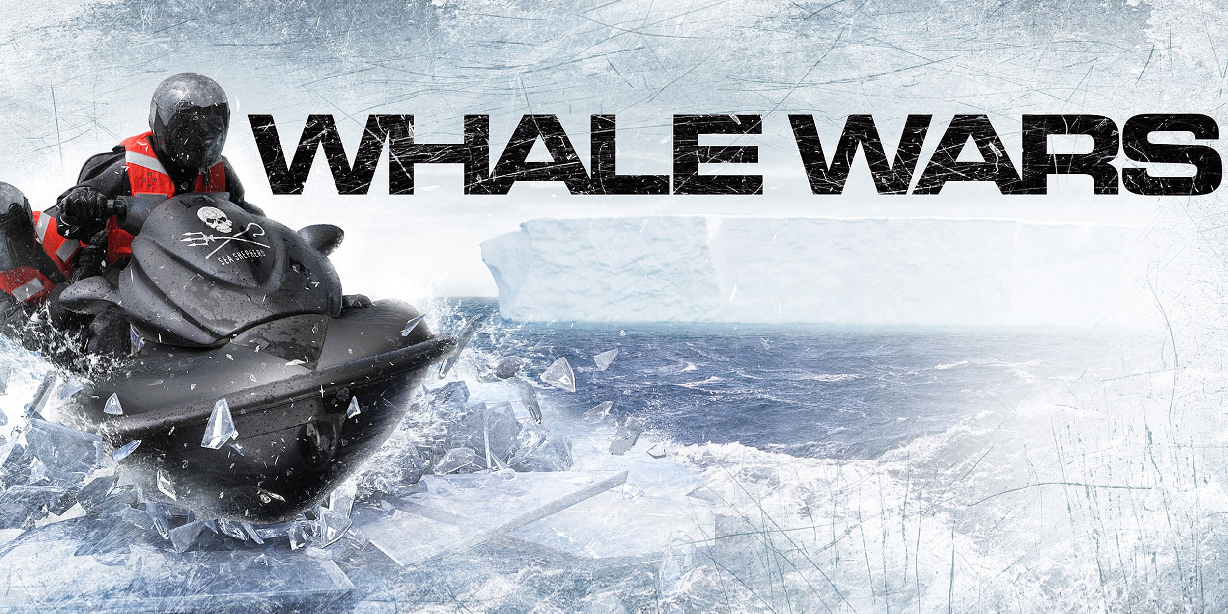 Whale-Wars-Big.jpg