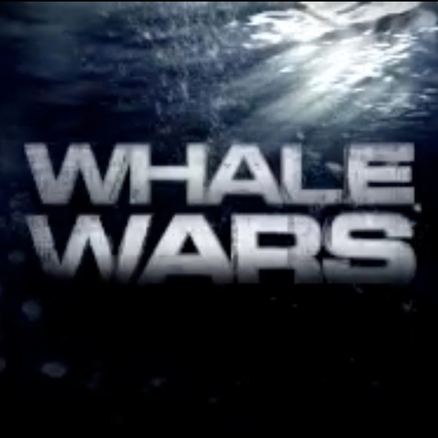 WHALE WARS