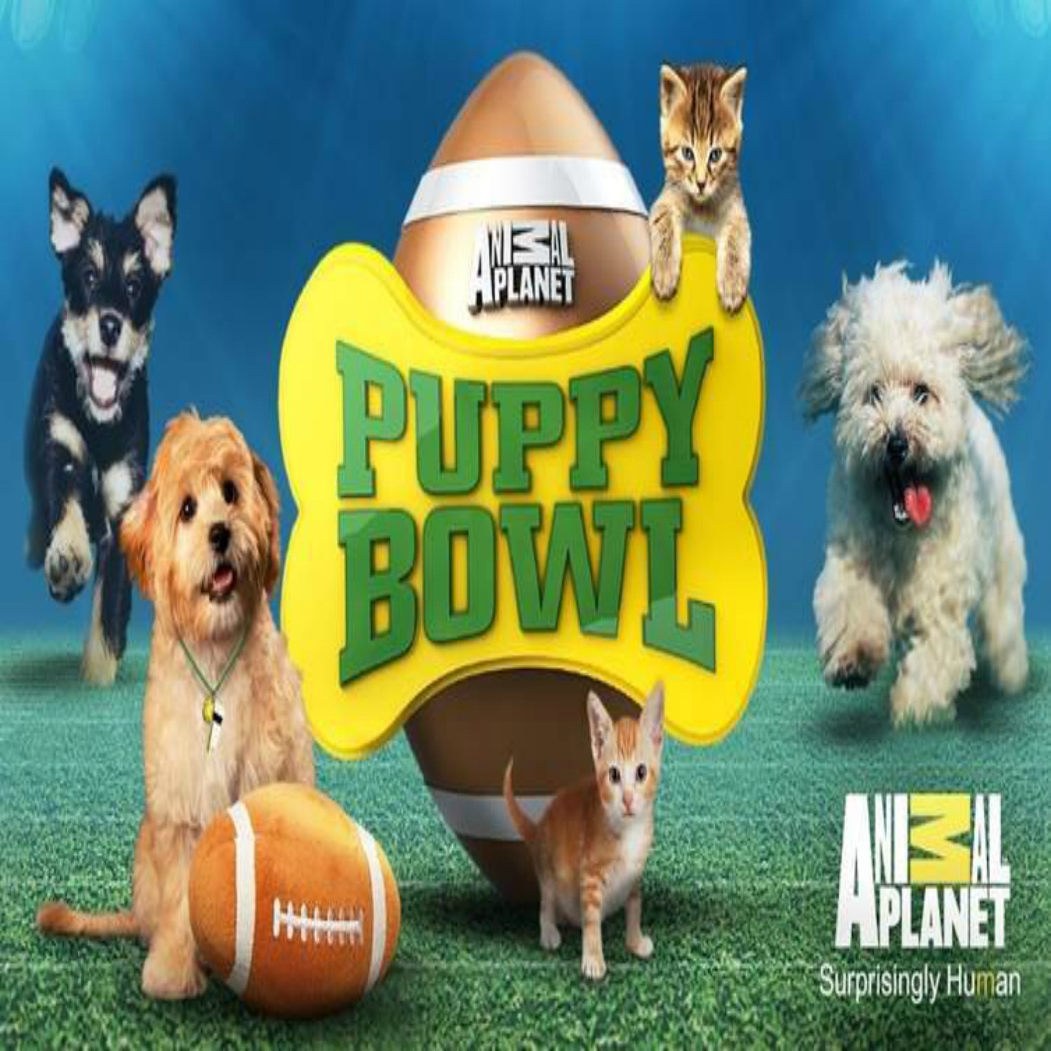 PUPPY BOWL PROMOS