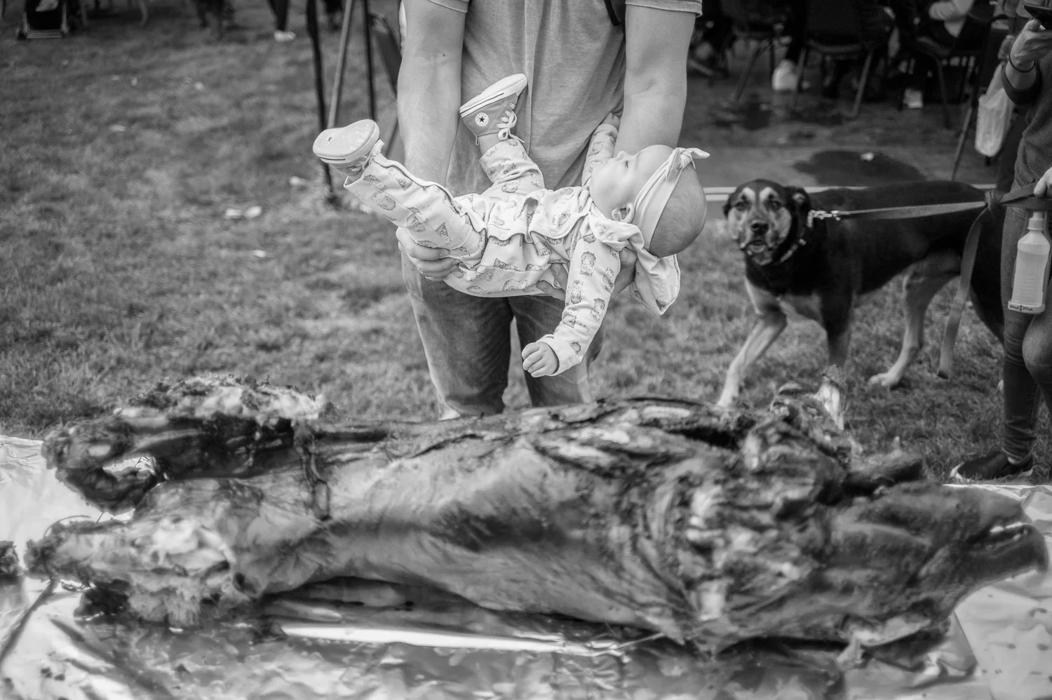 Soons Farm Commission-04.jpg