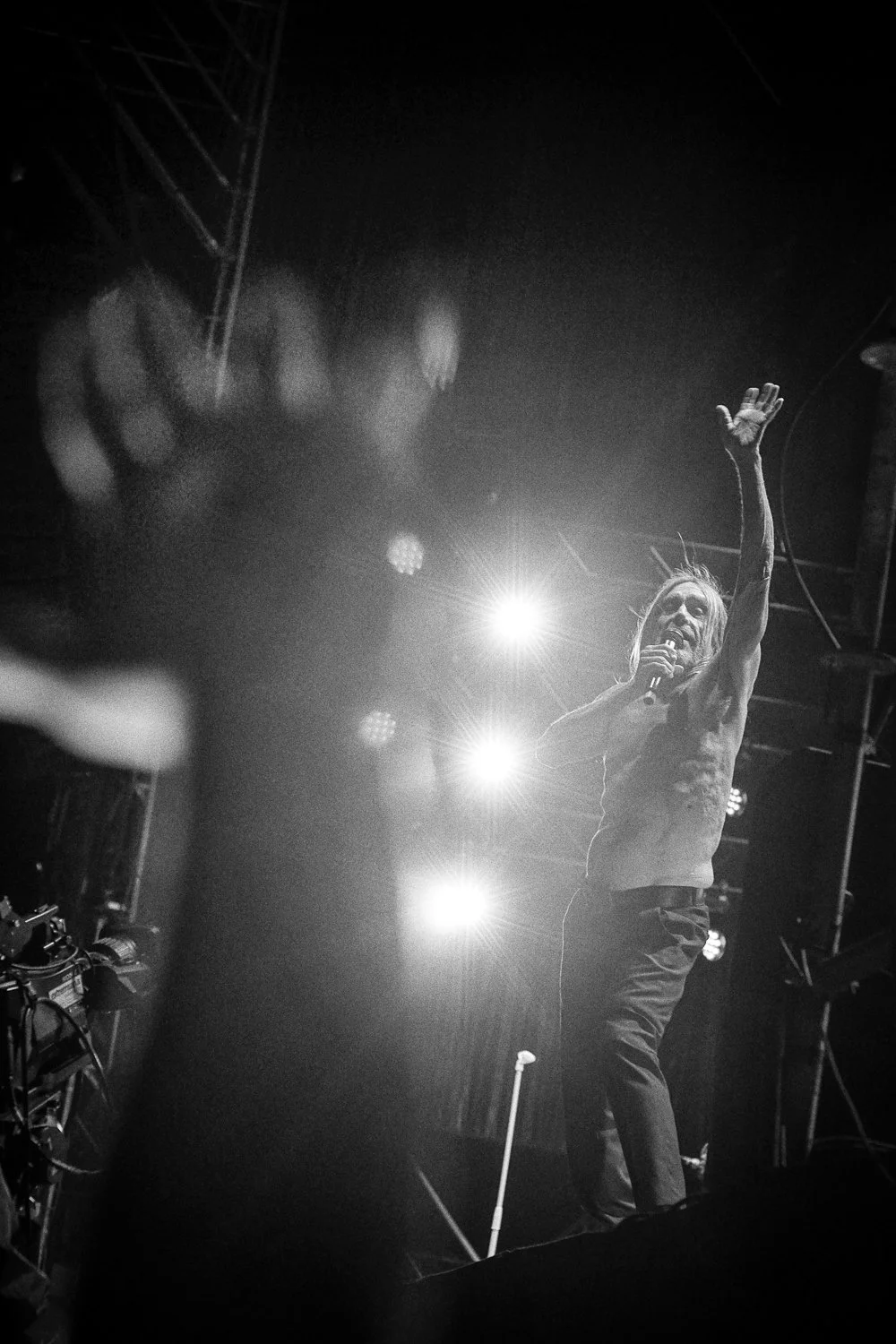  Iggy Pop 