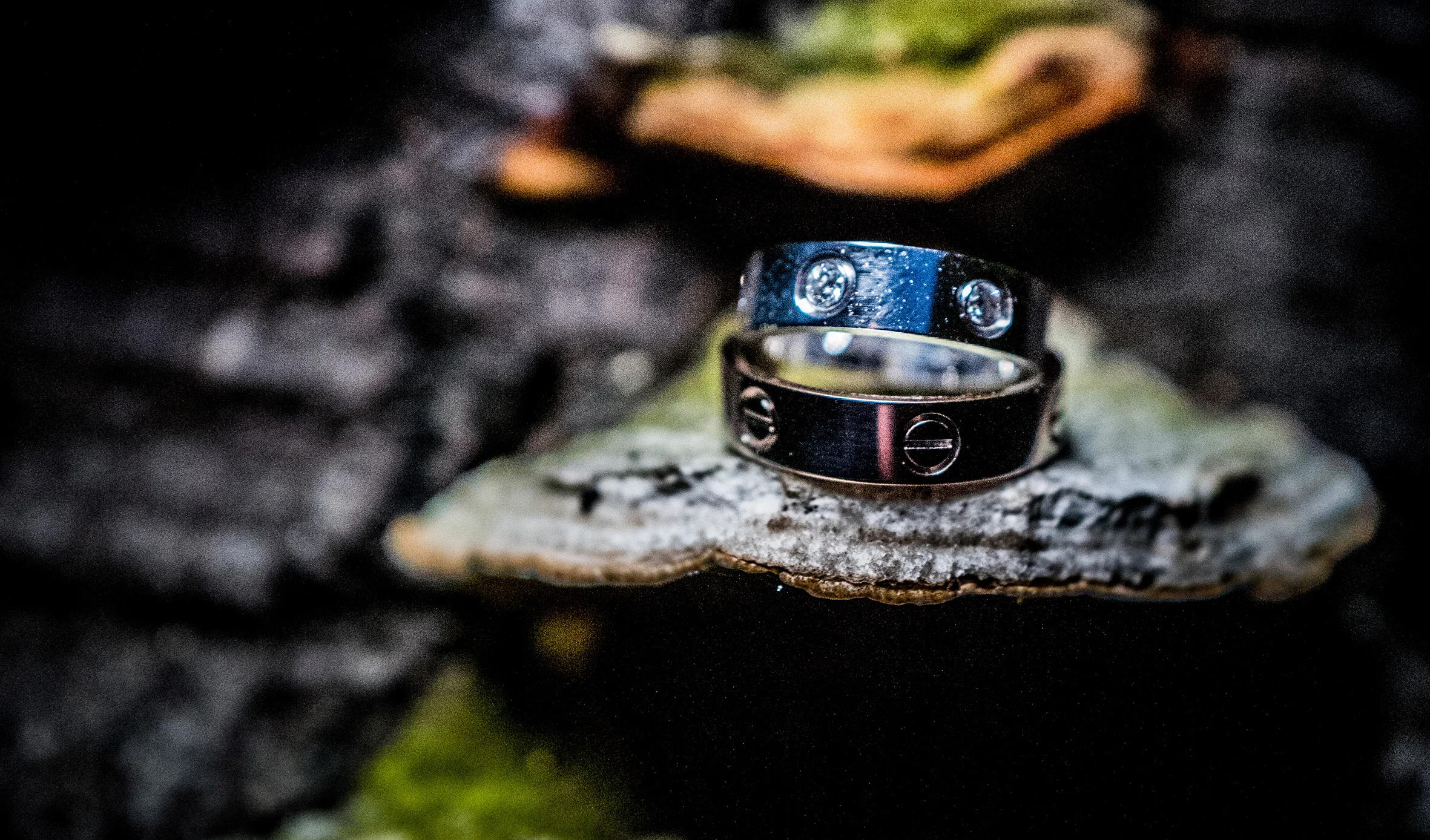 Ringe manuelthome.jpg