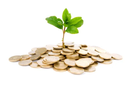 istock_000008496347moneygrow.jpg