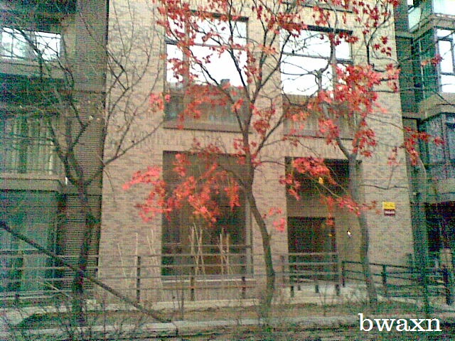 Autumn Extension