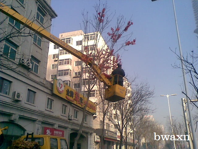 Factory Fresh Leaves
