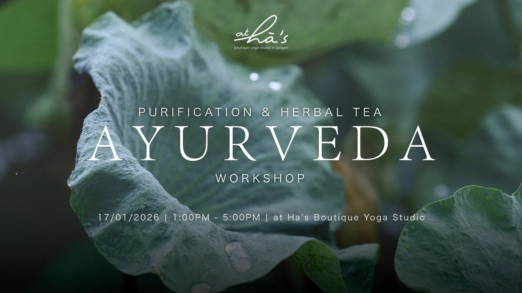 THANH TĨNH &amp; TRÀ THẢO MỘC cùng HÀ - PURIFICATION &amp; HERBAL TEA with HA LE