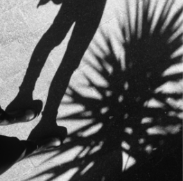 line & shadow