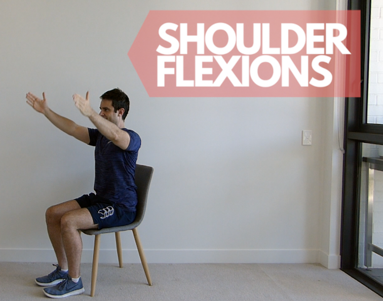Shoulder Flexions