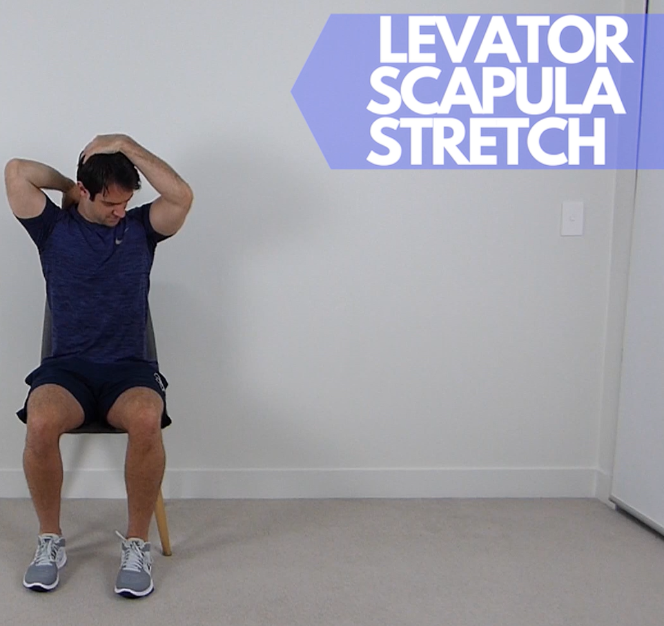 Levator Scapula Stretch