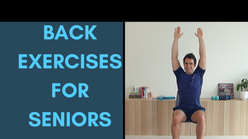 Seated Lower Back Exercises For Seniors