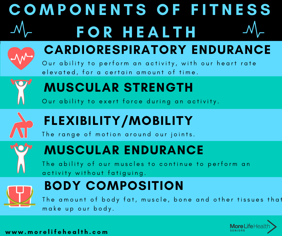 Components of Fitness For Seniors – Health — More Life Health