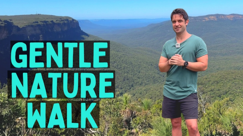 10 Minute Gentle Follow Along Walking Exercise