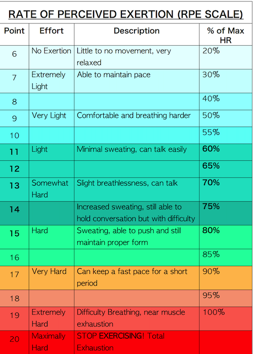 Printable PDF Downloads For Seniors Health Fitness More Life Health