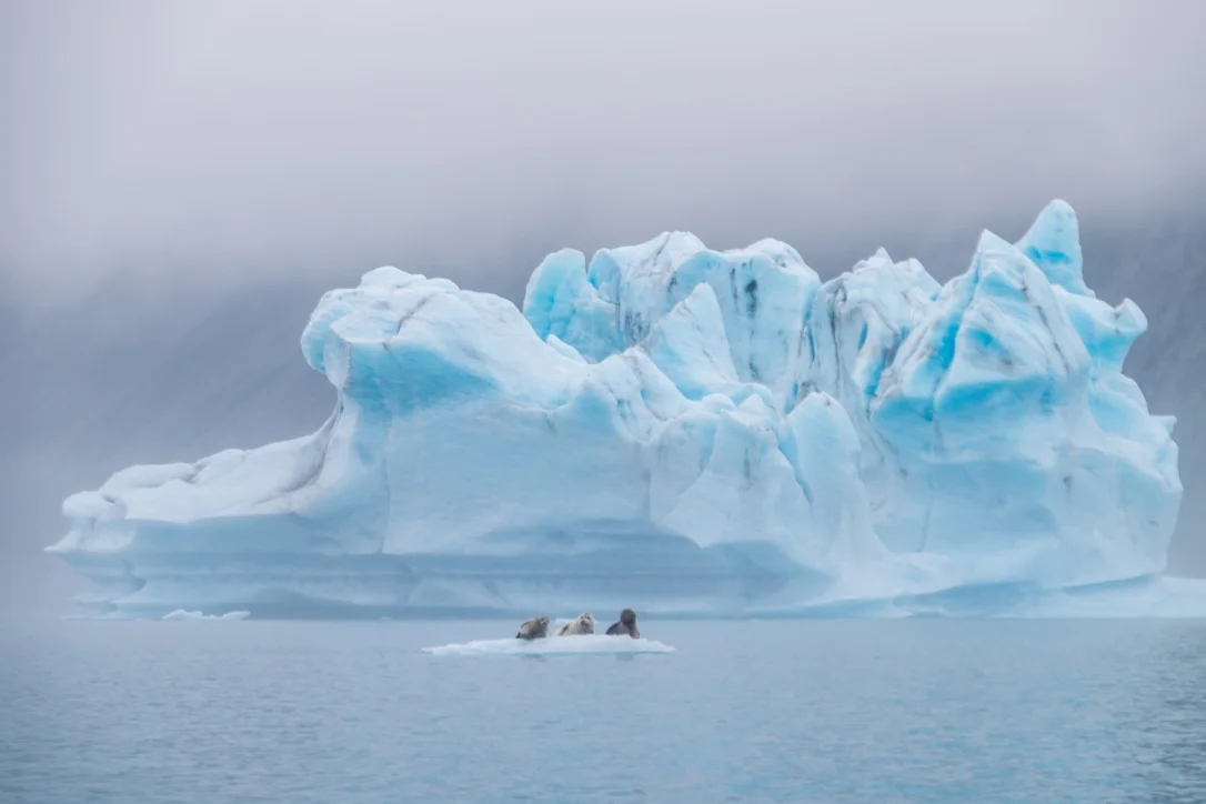 Kenai Fjords National Park, Alaska, USA