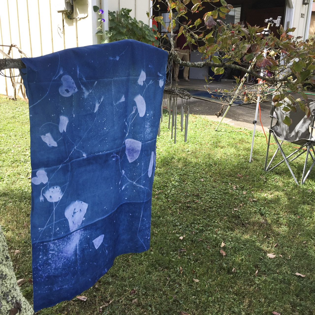 drying in the sun