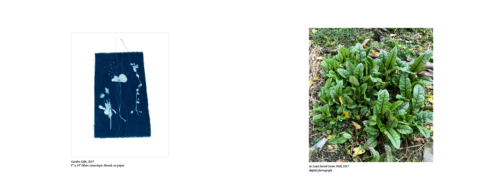201708_InMyGarden_Book_FINAL-016.jpg