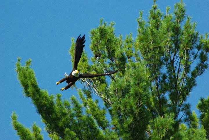 The Formation of an Exhibit Designer: MATT  McLAUGHLIN