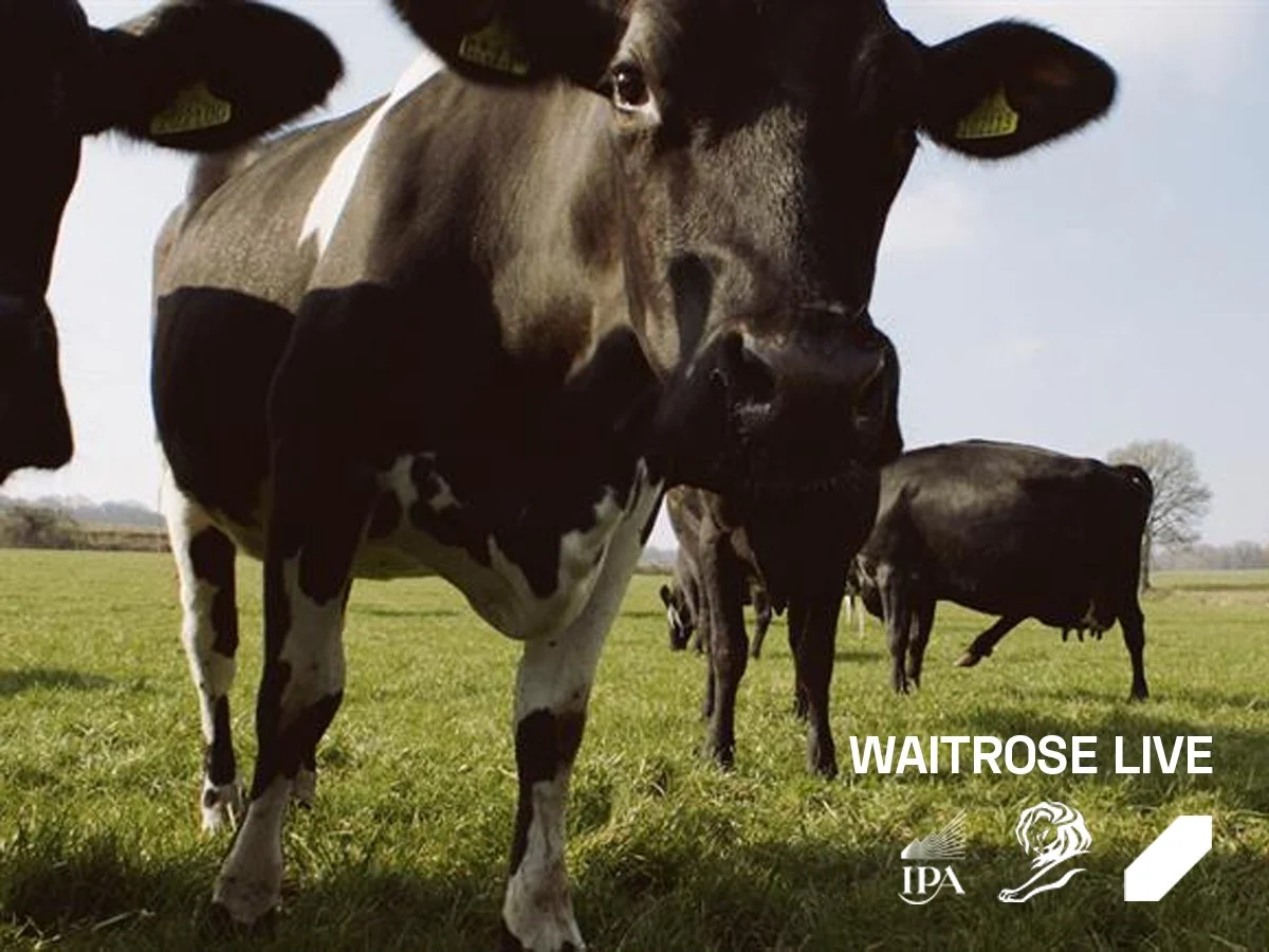 waitrose live thumb2.jpg