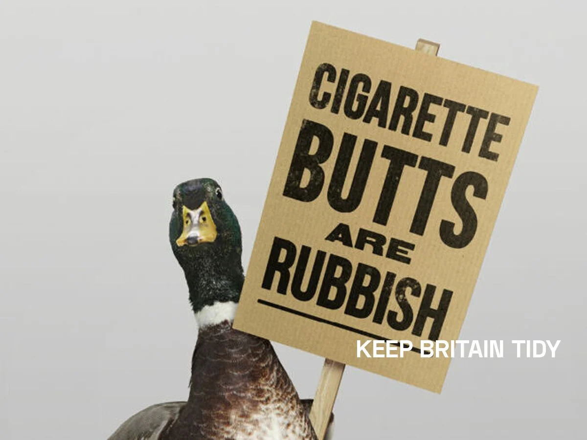 KBT thumb.jpg