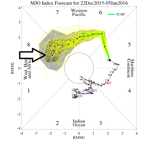 MJO index forecast from December 22nd to January 5th by the European model