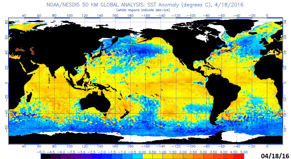 Sea surface temperature anomalies as of April 18th, 2016; courtesy NOAA