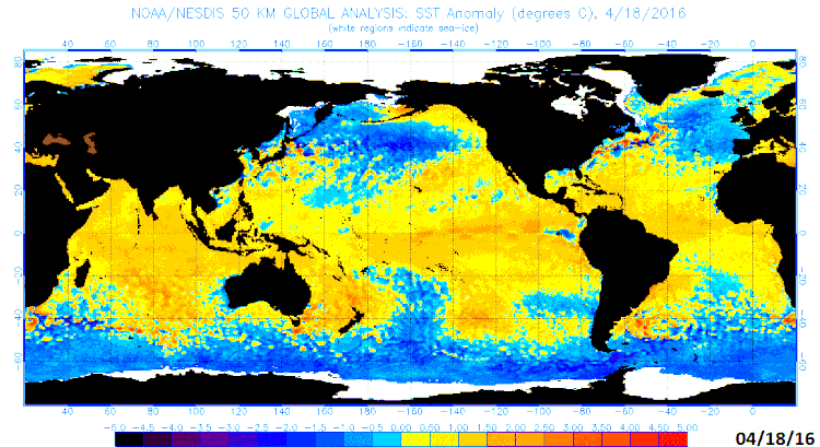 Sea surface temperature anomalies as of April 18th, 2016; courtesy NOAA