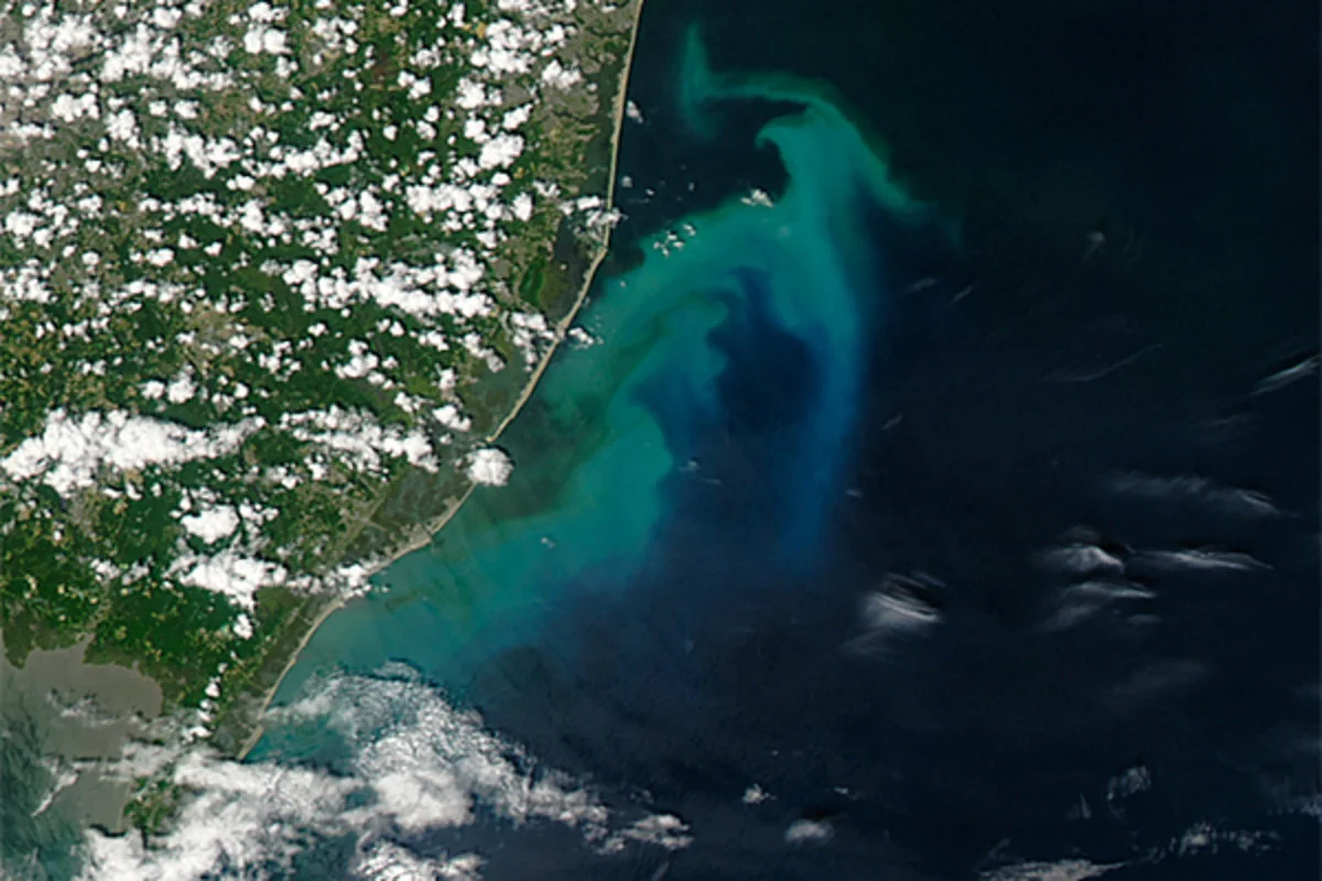 Phytoplankton off the coast of New Jersey from a NASA satellite photo taken July 7, 2016. The blooms are fueled by upwelling, which occurs when winds blow surface waters away; image courtesy NASA