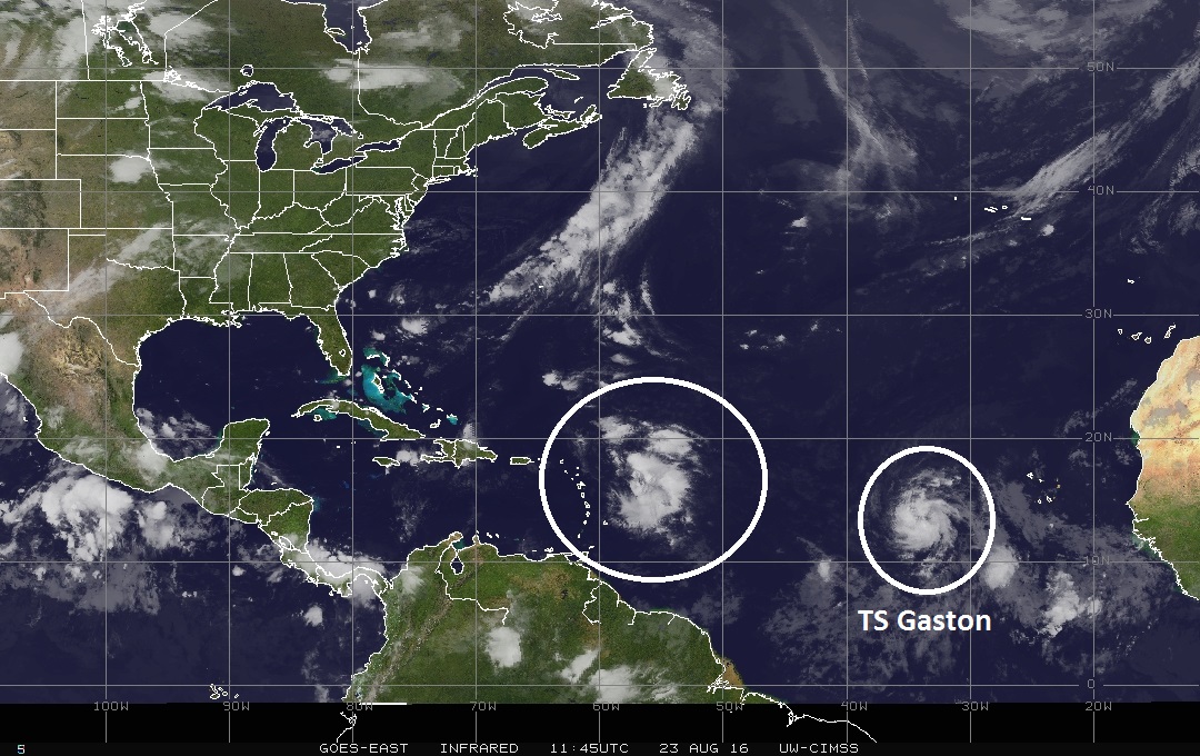 IR satellite image of the tropical Atlantic Ocean with area of interest circled near the Leeward Islands and Tropical Storm Gaston in the far eastern Atlantic; image courtesy University of Wisconsin/CIMSS