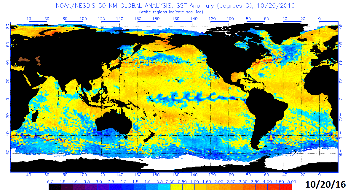 Current sea surface temperature anomalies with weak La Nina conditions in the tropical Pacific Ocean; map courtesy NOAA