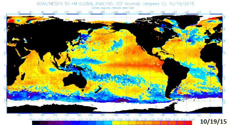 Sea surface temperature anomalies from October 19, 2015 with strong El Nino in the tropical Pacific Ocean; map courtesy NOAA