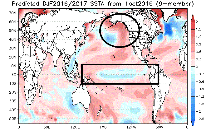JAMSTEC forecast of sea surface temperature anomalies for the upcoming winter season (December/January/February); courtesy Japan Agency for Marine-Earth Science and Technology