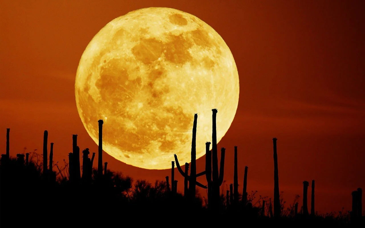 12:20 PM | An extra-special supermoon coming on November 14th