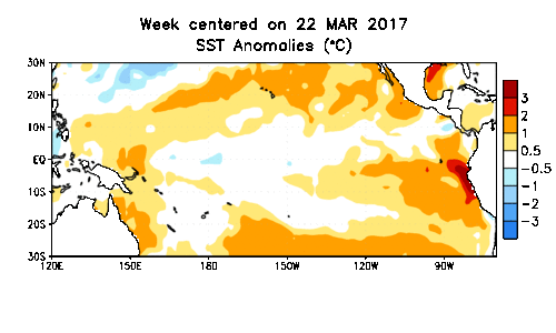 Sea surface temperature (SST) anomalies from late March to last week. Earlier this year, SST anomalies were showing up as well above normal (red) just off the west coast of South America, but recent days have shown closer-to-normal levels. Data courtesy NOAA/CPC