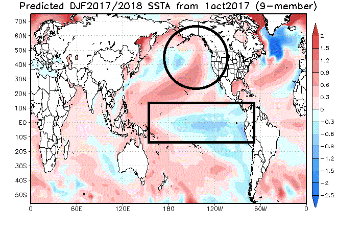 JAMSTEC mid-October forecast of sea surface temperature anomalies for the upcoming winter season (December/January/February). The boxed region shows La Nina conditions (colder-than-normal, blue) in the equatorial Pacific Ocean and the circled region shows a mixed bag in the northern Pacific. (forecast map courtesy Japan Agency for Marine-Earth Science and Technology)