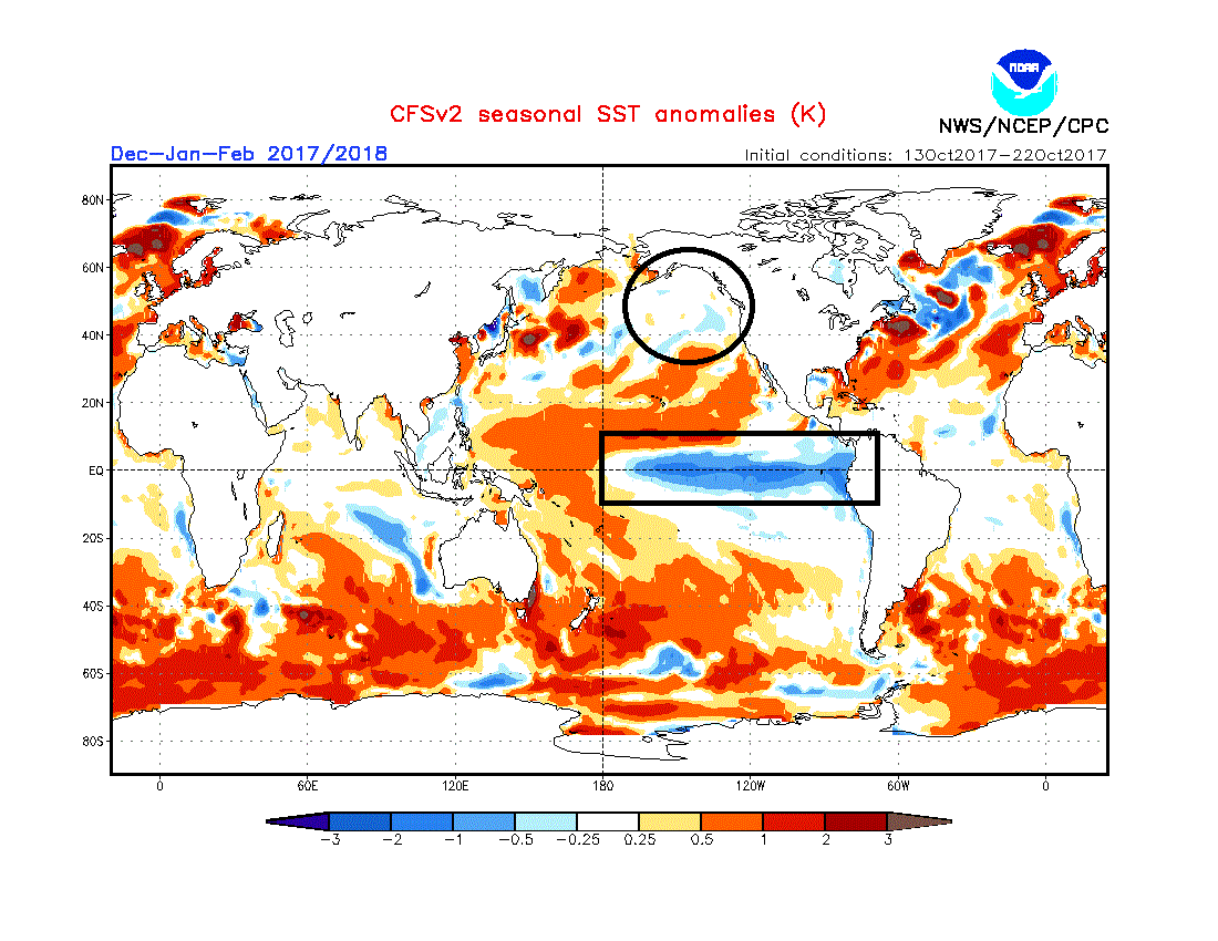 NOAA CFSv2 mid-October forecast of sea surface temperature anomalies for the upcoming winter season (December/January/February). The boxed region shows La Nina conditions (colder-than-normal, blue) in the equatorial Pacific and the circled region shows a mixed bag in the northern Pacific. (forecast map courtesy NOAA/CPC)