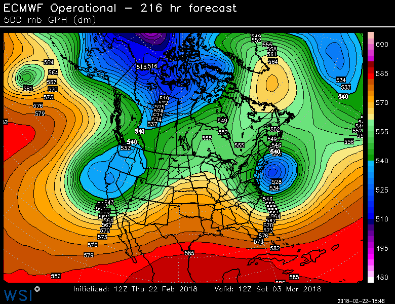 12Z Thurs Euro 500 mb height forecast map for Saturday morning, March 3rd, with a deep upper-level low situated right near the Mid-Atlantic coastline and strong ridging near Greenland; map courtesy WSI, Inc.